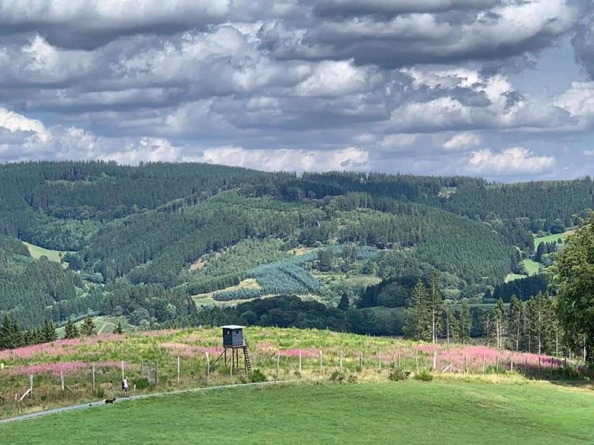 Ferienwohnungen Bergnest Winterberg Exterior foto