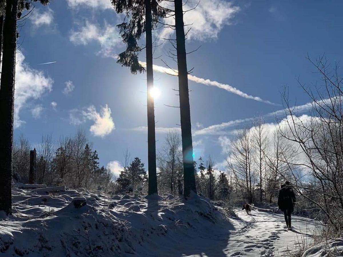 Ferienwohnungen Bergnest Winterberg Exterior foto
