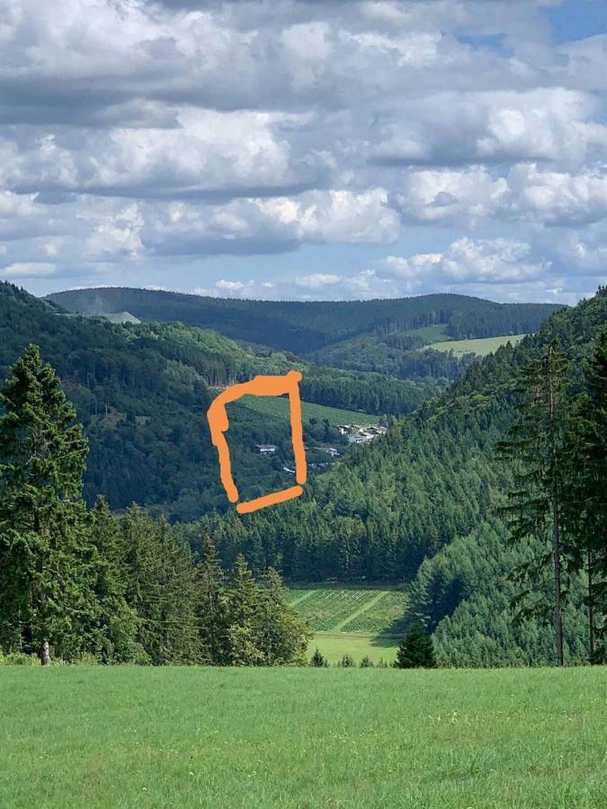 Ferienwohnungen Bergnest Winterberg Exterior foto