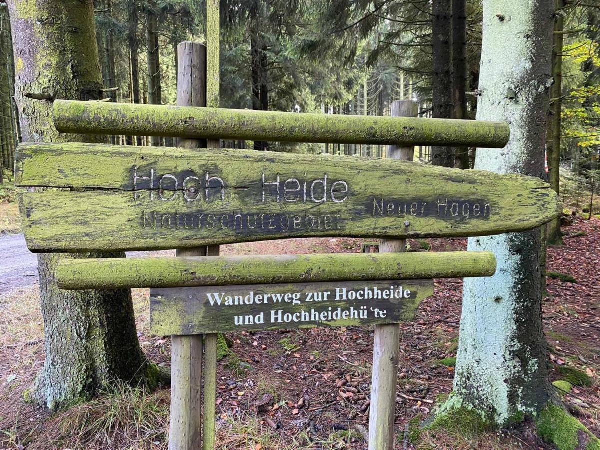 Ferienwohnungen Bergnest Winterberg Exterior foto