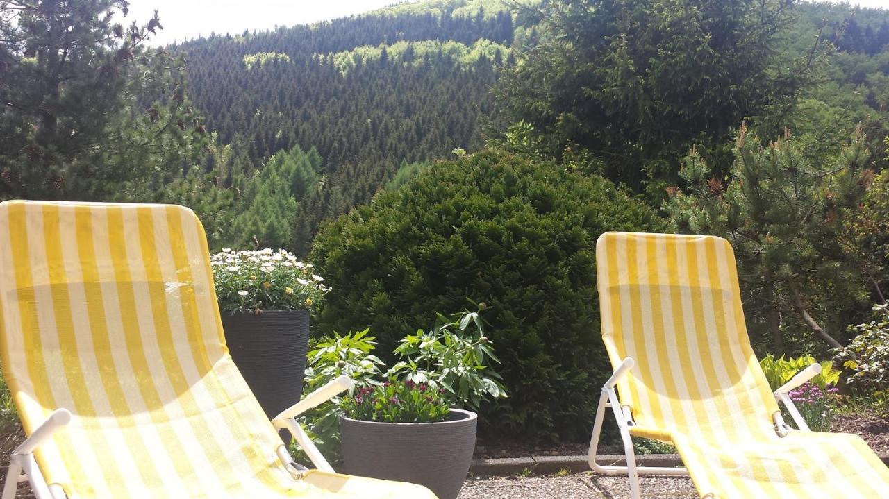 Ferienwohnungen Bergnest Winterberg Exterior foto